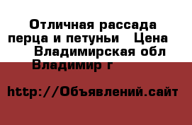 Отличная рассада перца и петуньи › Цена ­ 30 - Владимирская обл., Владимир г.  »    